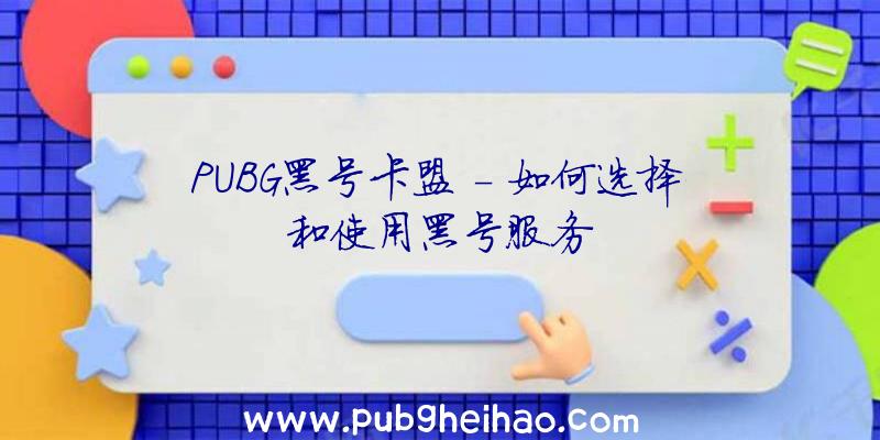 PUBG黑号卡盟